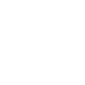 House Elevation Drawing